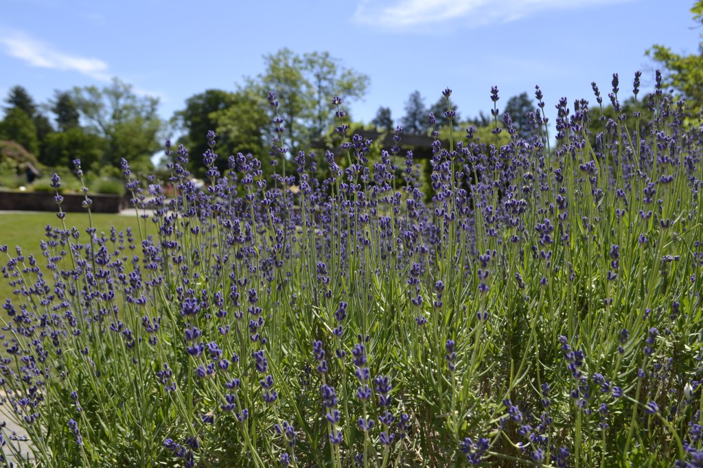 They’re People, Too