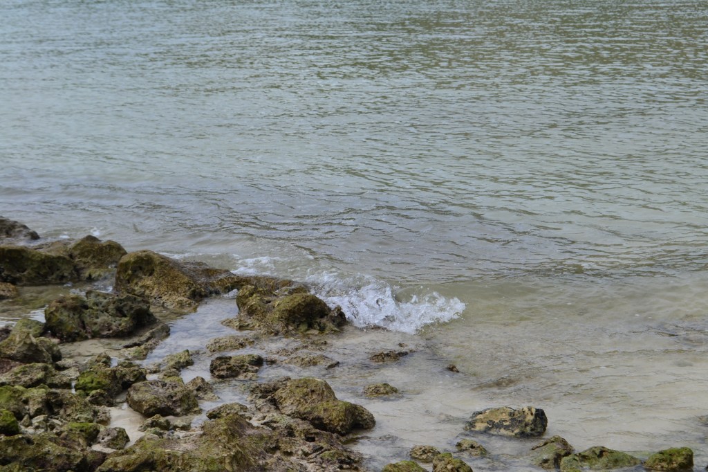 The Power of&nbsp;Forgiveness